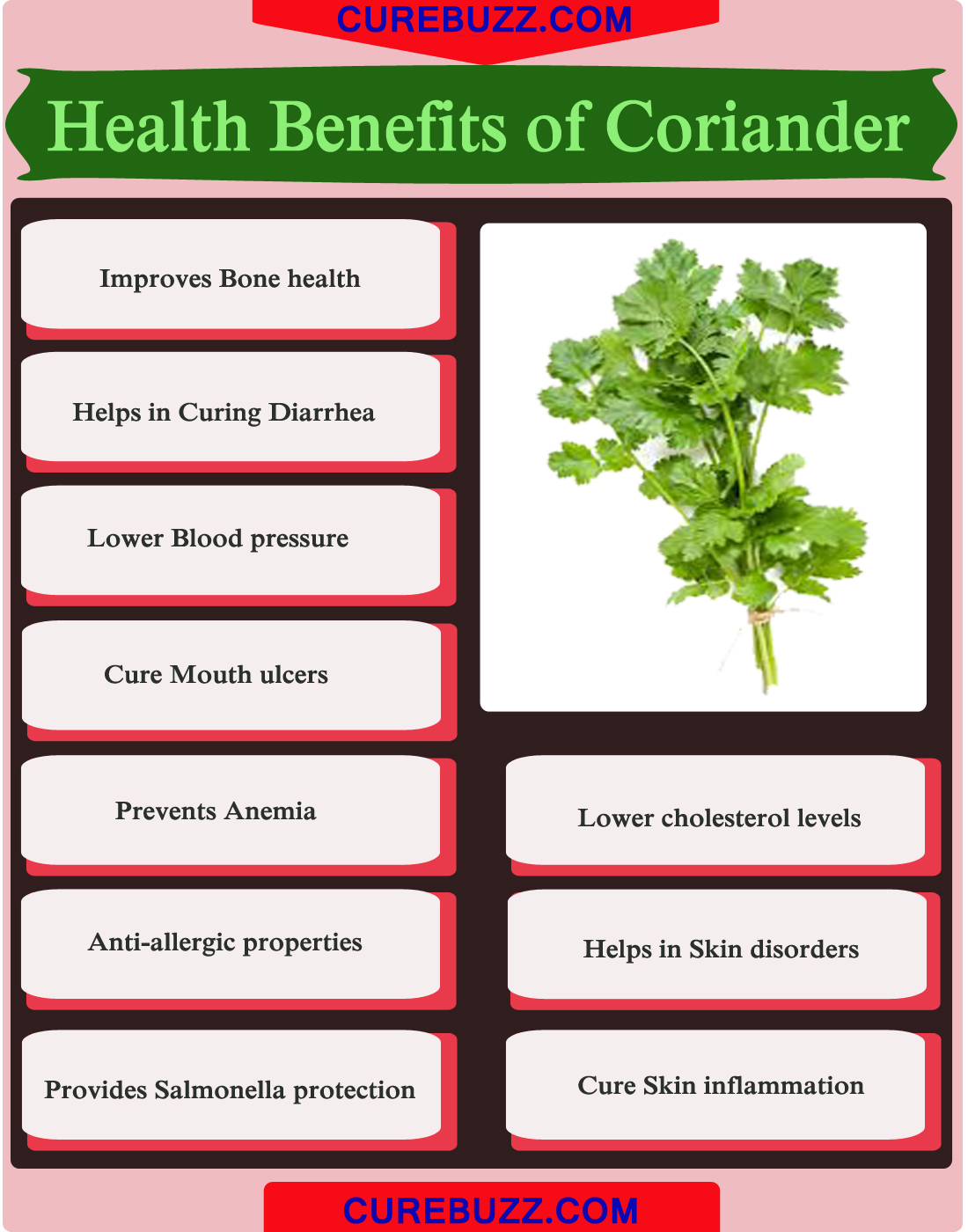 10 Health Benefits Of Coriander Curebuzz