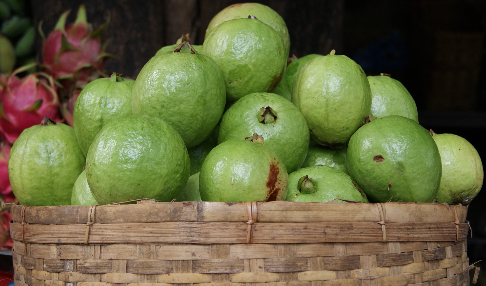 Guava good for diabetics