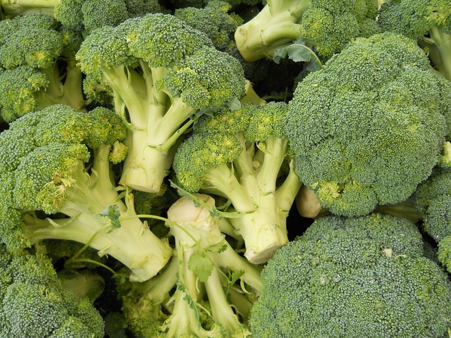 broccoli high in fiber